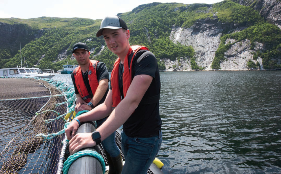 phd aquaculture canada