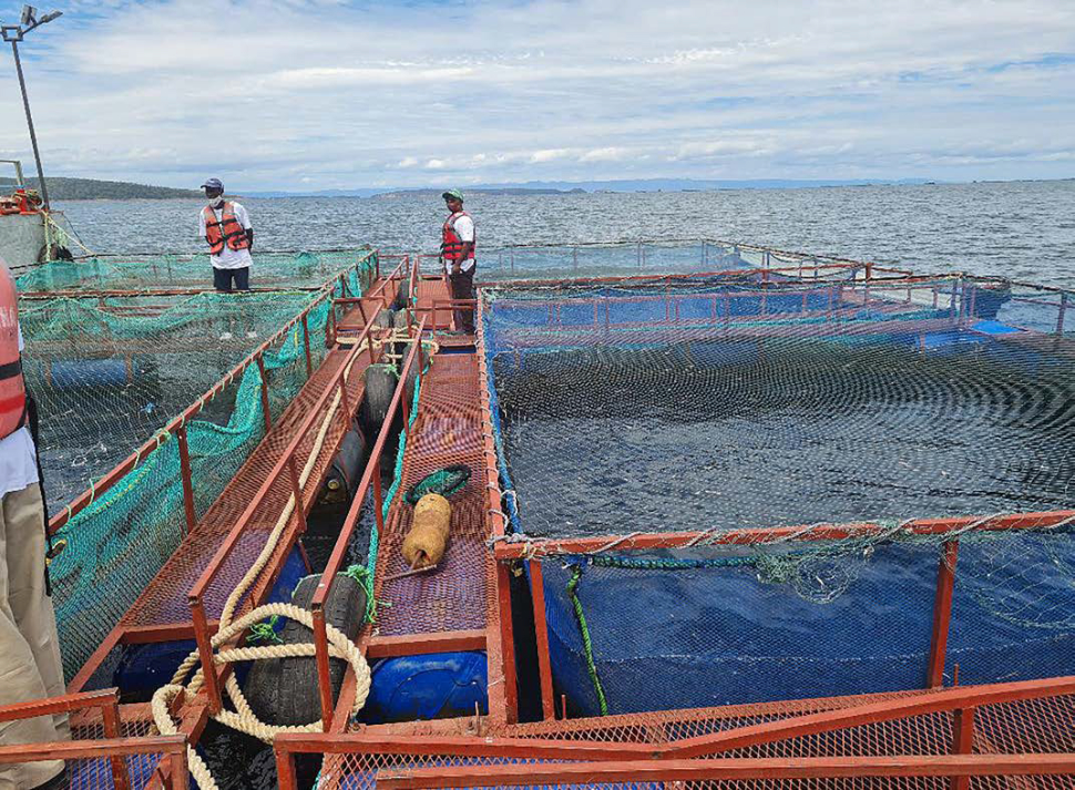 Meet the author: Largemouth Bass Aquaculture