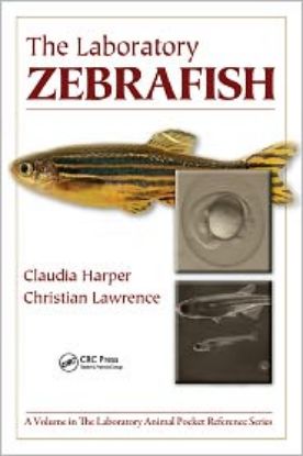 Picture of The Laboratory Zebrafish
