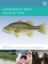 Picture of Largemouth Bass Aquaculture